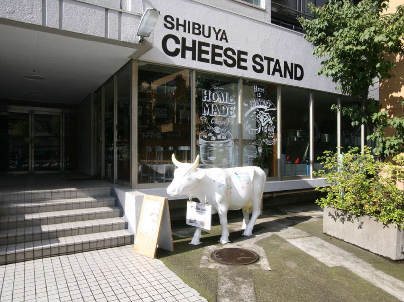 CHEESE STANDの写真 1
