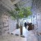 Balmy Cafe (by Chana Company)の写真