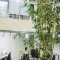 Wano head officeの写真 6
