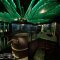 CLUB【JUNGLE-INFINITY-】の写真 2