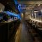 NK diner193の写真 5