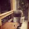 Bliss cafe et vinの写真 4