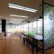 “福島大学GREEN”の写真 1