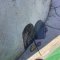 アメリカンガレージの写真 5