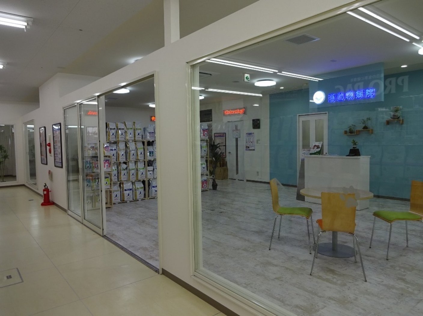 ペットショップCoo&RIKU 札幌東店の写真 2
