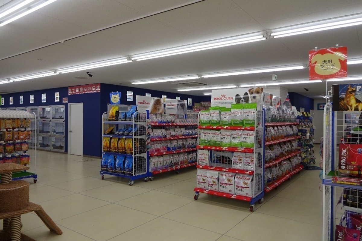ペットショップCoo&RIKU 札幌東店の写真 6