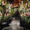 Aoyama Flower Market TEA HOUSE 青山店の写真 1