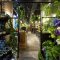 Aoyama Flower Market TEA HOUSE 赤坂Bizタワー店の写真 2