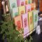 CAFE PICNIC 神戸の写真 9