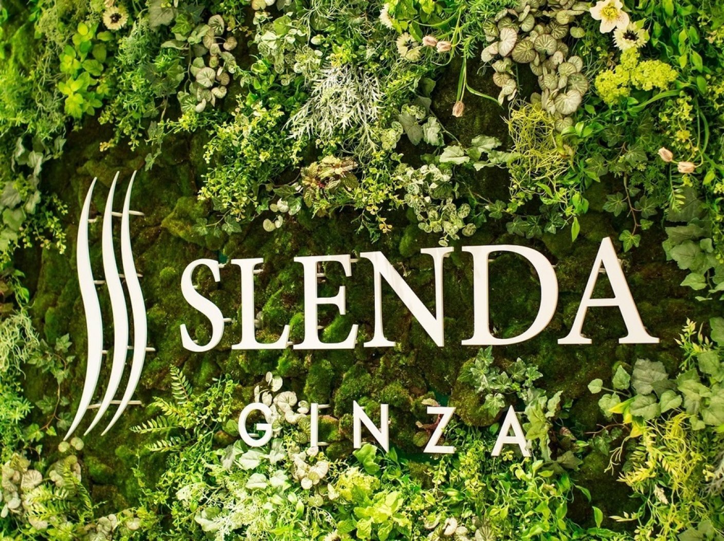 SLENDA GINZAの写真 3