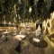 PLUS CASA LOUNGE 彦根駅前店様の写真 2