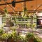 Aoyama Flower Market TEA HOUSE　アトレ吉祥寺店の写真 6
