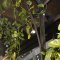 RED BRICK CEREMONY GARDEN　横浜赤レンガ倉庫の写真 4