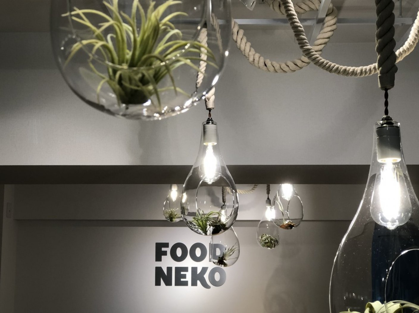 フードデリバリーサービス FOOD NEKOの写真 1