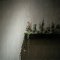 Cafe &Wedding 22　リニューアルの写真 2
