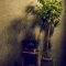 pRC painting studioの写真 8