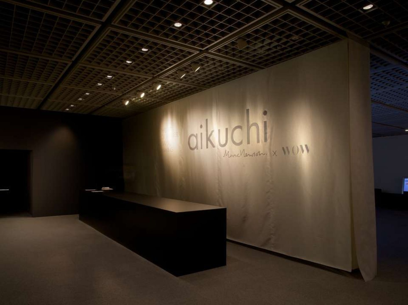 AIKUCHI展の写真 2