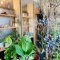 TEISHOW-ENの写真 12