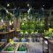 Aoyama Flower Market TEA HOUSE 赤坂Bizタワー店の写真 3