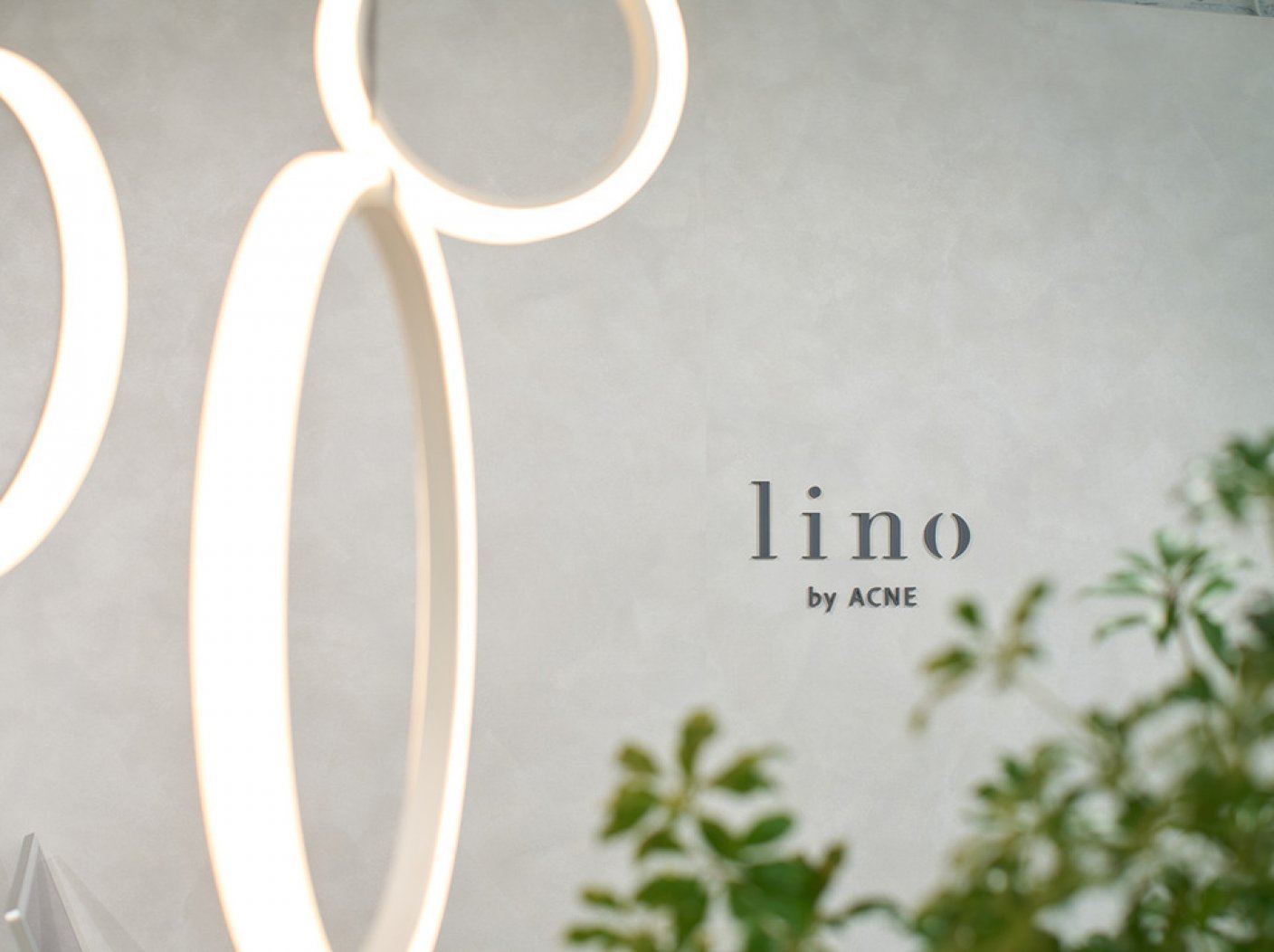 lino by ACNEの写真 6
