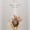 BRIGHTS beauty clinicの写真 4