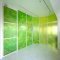 GREEN / FOGの写真 7