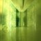 GREEN / FOGの写真 12