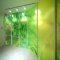 GREEN / FOGの写真 13