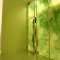 GREEN / FOGの写真 15