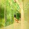 GREEN / FOGの写真 17