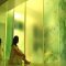 GREEN / FOGの写真 18
