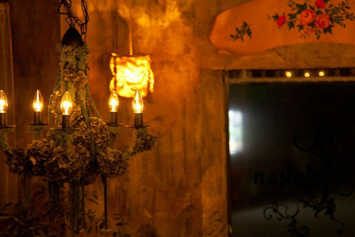 in the Forestの写真 3