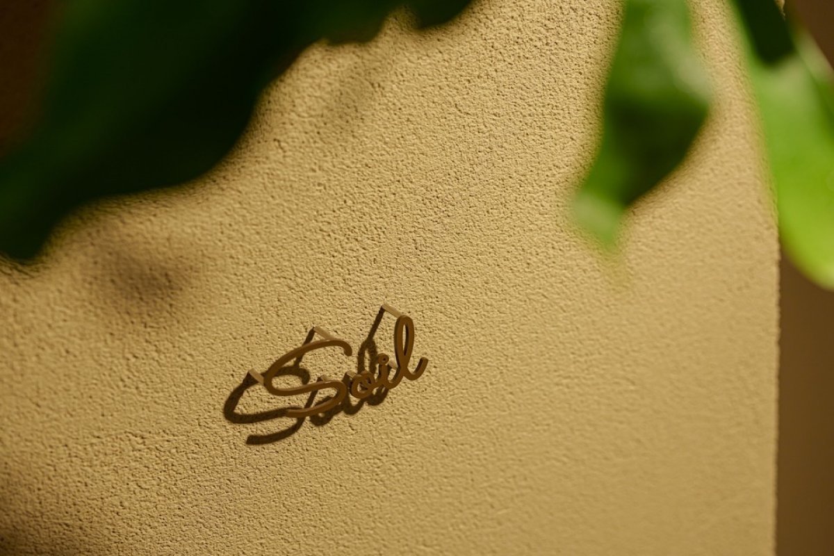 Soilの写真 6