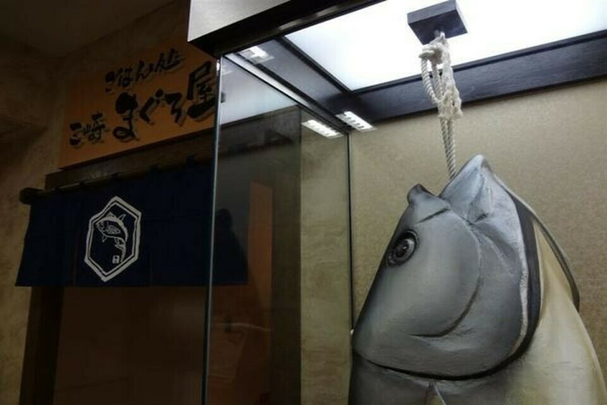 ごはん処 三崎まぐろ屋の写真 3