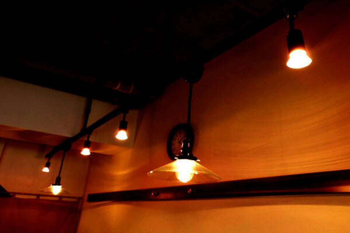 若鳥焼 雅の写真 5