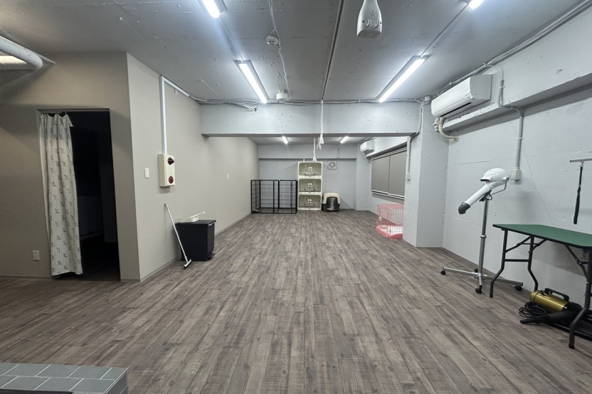 DOGSALON AnnMerryの写真 5