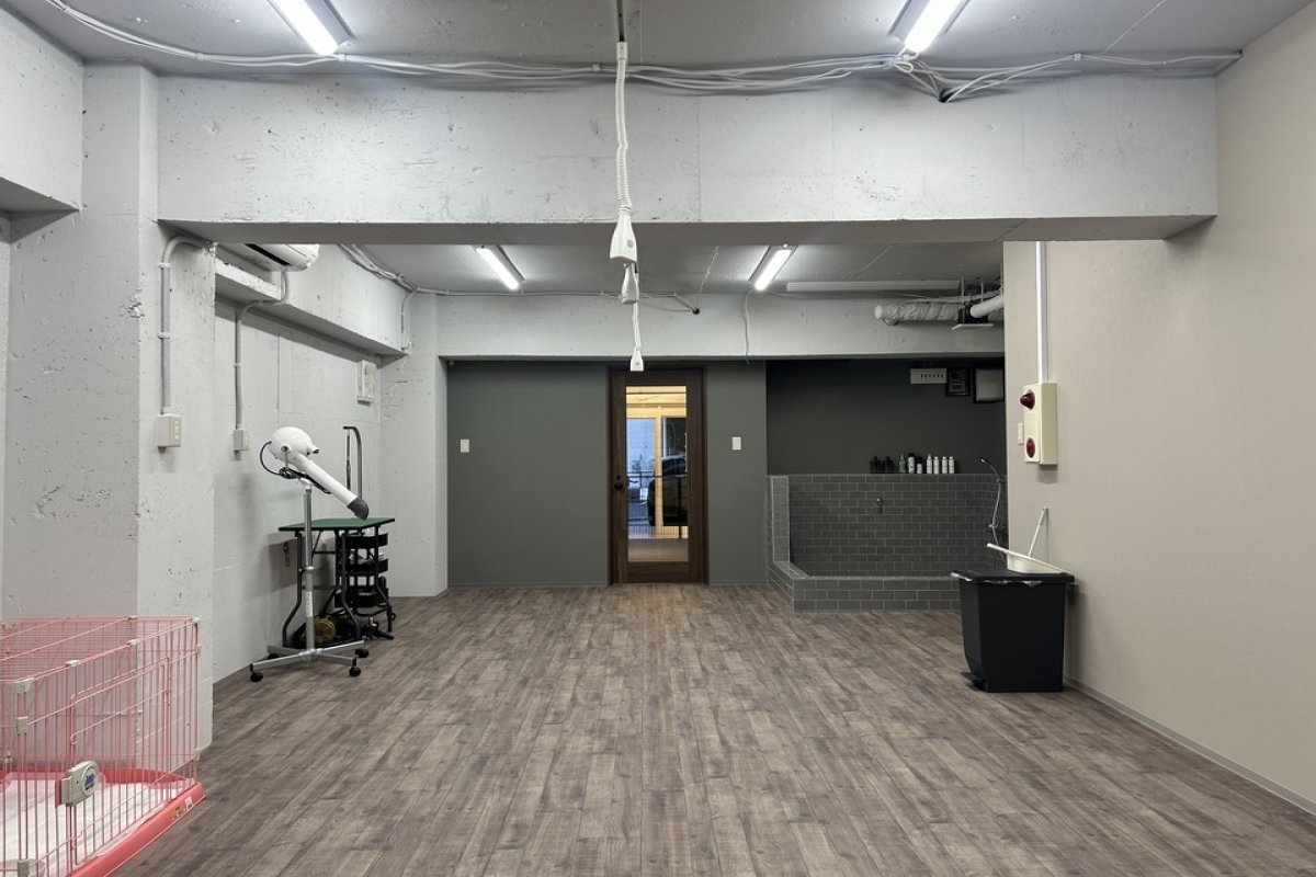 DOGSALON AnnMerryの写真 6