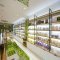 THE FACE SHOP 新天町店の写真 4