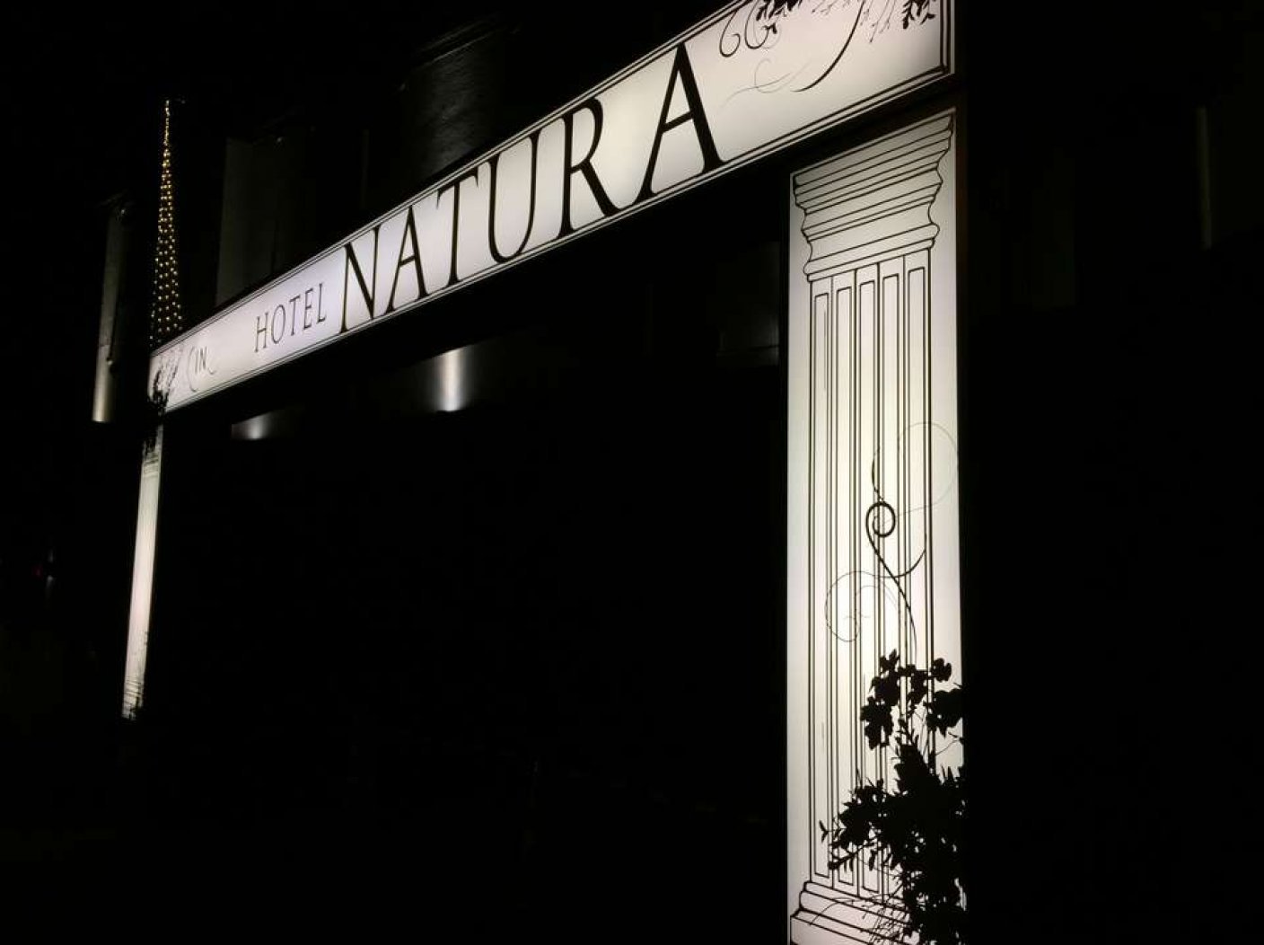 HOTEL NATURAの写真 10