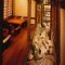 京町恋しぐれの写真 4
